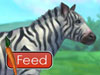 Покорми зебру